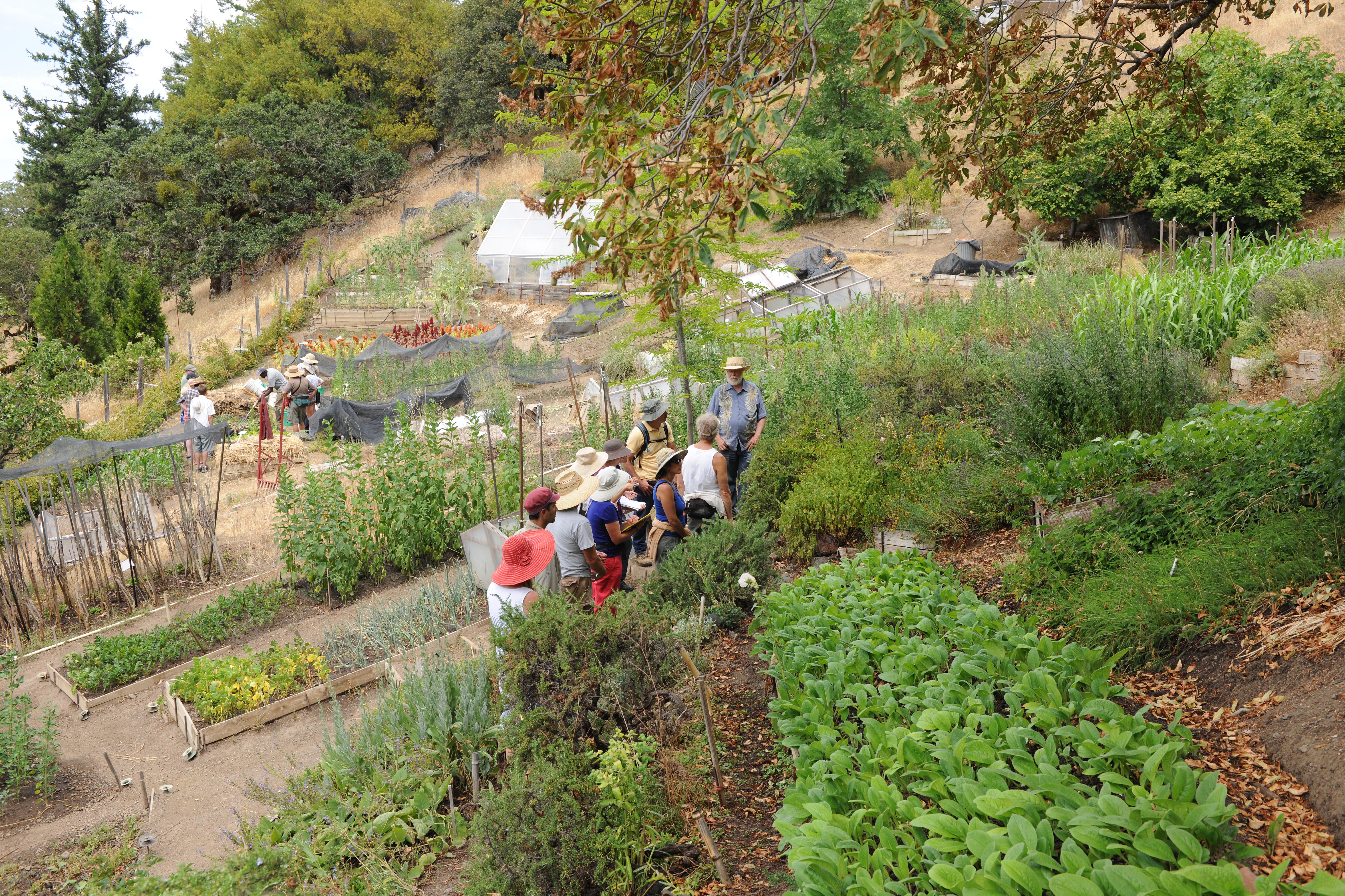 Director John Jeavons with interns at the Mini-Farm in Willits Willits Mini-Farm
